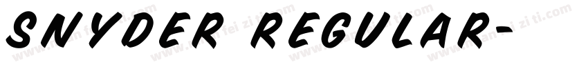 Snyder Regular字体转换
